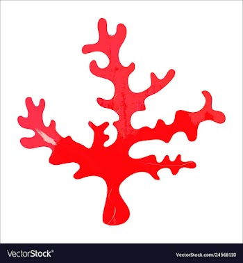 Set of watercolor seaweed and corals isolated on vector image