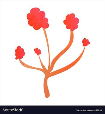 Set of watercolor seaweed and corals isolated on vector image