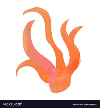 Set of watercolor seaweed and corals isolated on vector image