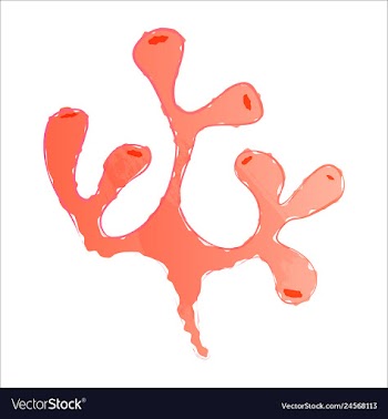 Set of watercolor seaweed and corals isolated on vector image