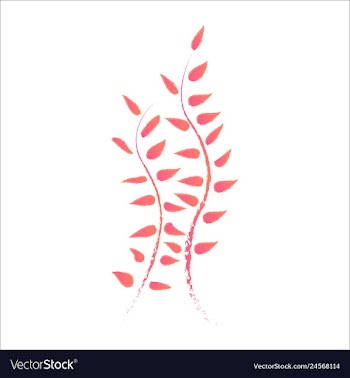 Set of watercolor seaweed and corals isolated on vector image