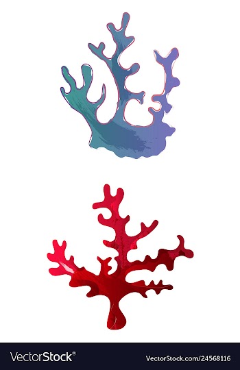 Set of watercolor seaweed and corals isolated on vector image