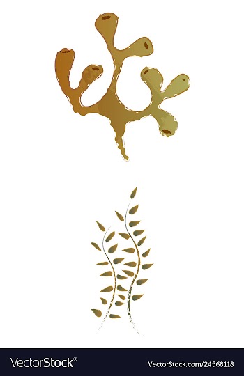 Set of watercolor seaweed and corals isolated on vector image