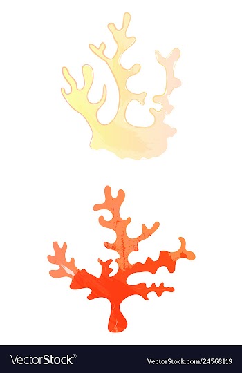 Set of watercolor seaweed and corals isolated on vector image