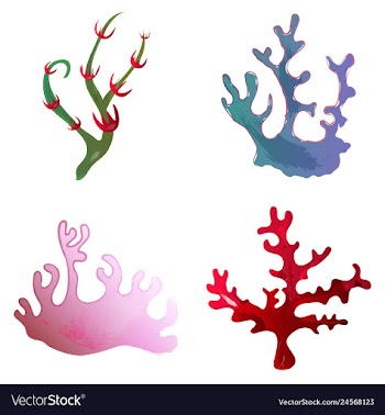 Set of watercolor seaweed and corals isolated on vector image
