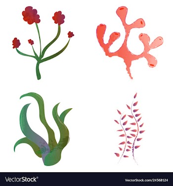 Set of watercolor seaweed and corals isolated on vector image