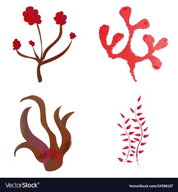 Set of watercolor seaweed and corals isolated on vector image