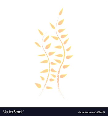 Set of watercolor seaweed and corals isolated on vector image