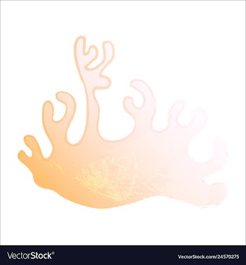 Set of watercolor seaweed and corals isolated on vector image