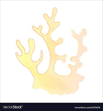 Set of watercolor seaweed and corals isolated on vector image