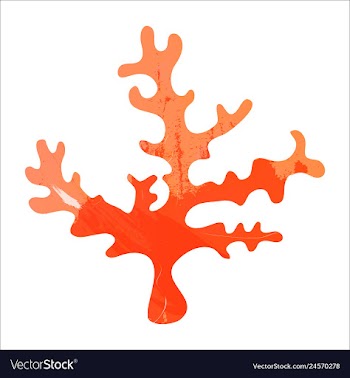 Set of watercolor seaweed and corals isolated on vector image