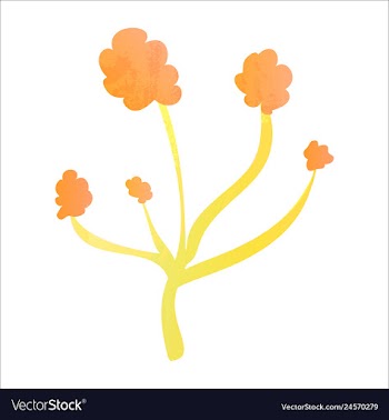 Set of watercolor seaweed and corals isolated on vector image