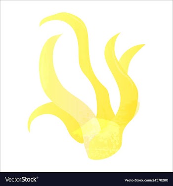 Set of watercolor seaweed and corals isolated on vector image