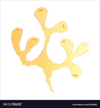 Set of watercolor seaweed and corals isolated on vector image