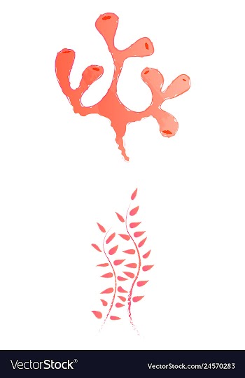 Set of watercolor seaweed and corals isolated on vector image