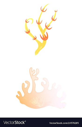 Set of watercolor seaweed and corals isolated on vector image