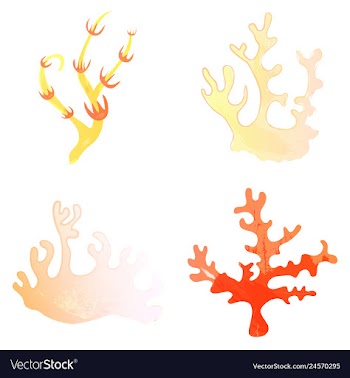 Set of watercolor seaweed and corals isolated on vector image