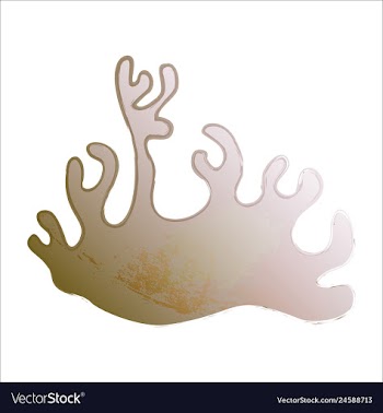 Set of watercolor seaweed and corals isolated on vector image
