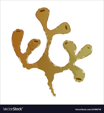 Set of watercolor seaweed and corals isolated on vector image