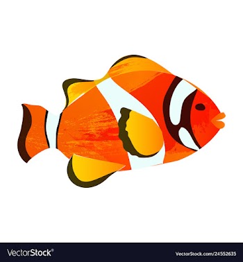 Set of watercolor seaweed corals and stones vector image
