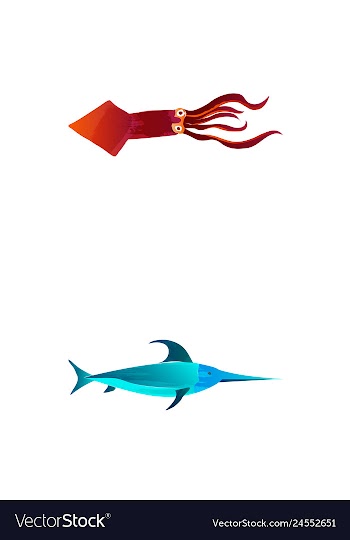 Set of watercolor seaweed corals and stones vector image