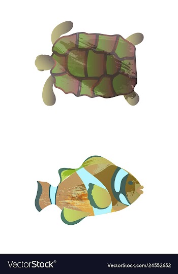 Set of watercolor seaweed corals and stones vector image