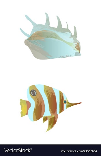 Set of watercolor seaweed corals and stones vector image