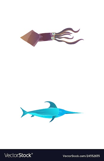 Set of watercolor seaweed corals and stones vector image