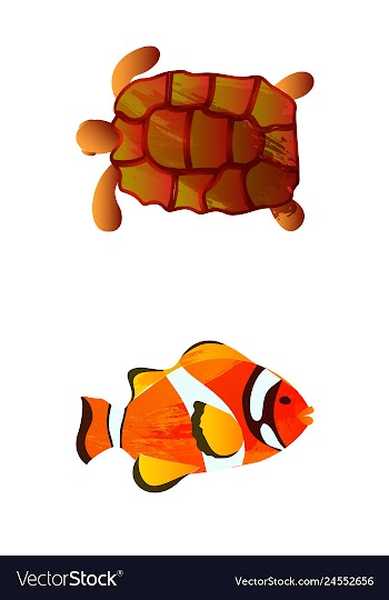 Set of watercolor seaweed corals and stones vector image