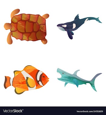 Set of watercolor seaweed corals and stones vector image