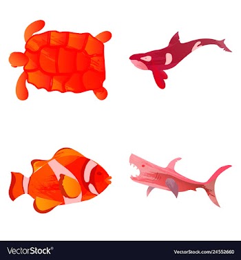 Set of watercolor seaweed corals and stones vector image