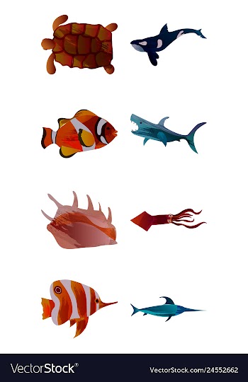 Set of watercolor seaweed corals and stones vector image