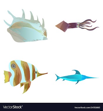 Set of watercolor seaweed corals and stones vector image