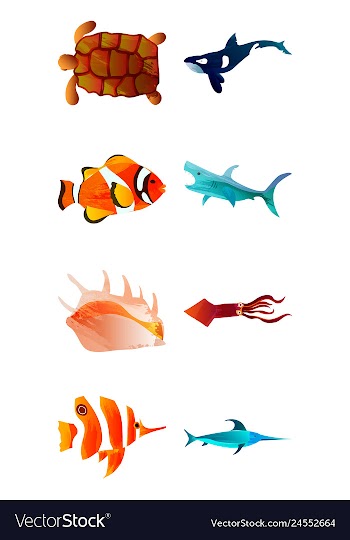 Set of watercolor seaweed corals and stones vector image