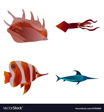Set of watercolor seaweed corals and stones vector image