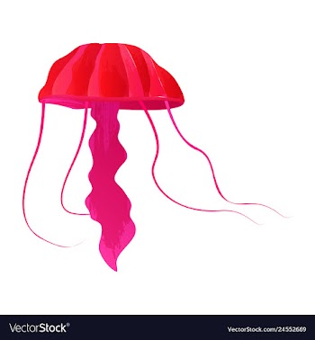 Set of watercolor seaweed corals and stones vector image
