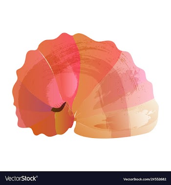Set of watercolor seaweed corals and stones vector image