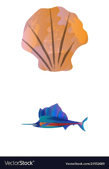 Set of watercolor seaweed corals and stones vector image