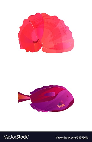 Set of watercolor seaweed corals and stones vector image