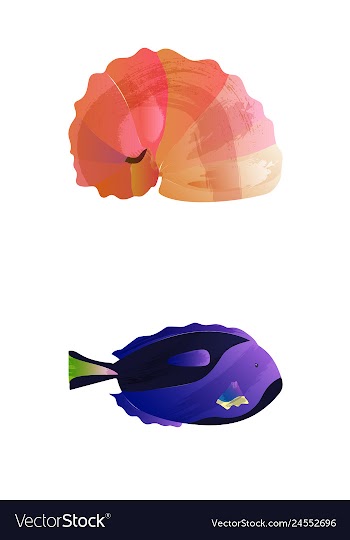 Set of watercolor seaweed corals and stones vector image
