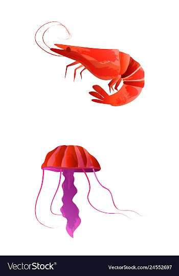 Set of watercolor seaweed corals and stones vector image