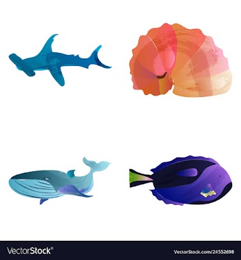 Set of watercolor seaweed corals and stones vector image