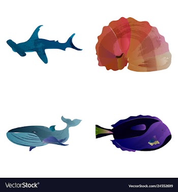 Set of watercolor seaweed corals and stones vector image