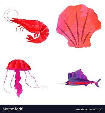Set of watercolor seaweed corals and stones vector image