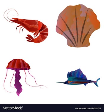 Set of watercolor seaweed corals and stones vector image