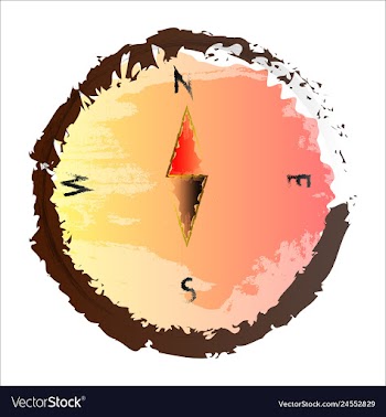 Set of watercolor seaweed corals and stones vector image