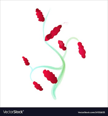 Set of watercolor seaweed corals and stones vector image