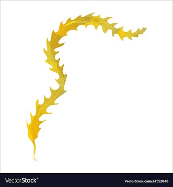 Set of watercolor seaweed corals and stones vector image