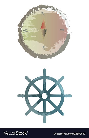 Set of watercolor seaweed corals and stones vector image