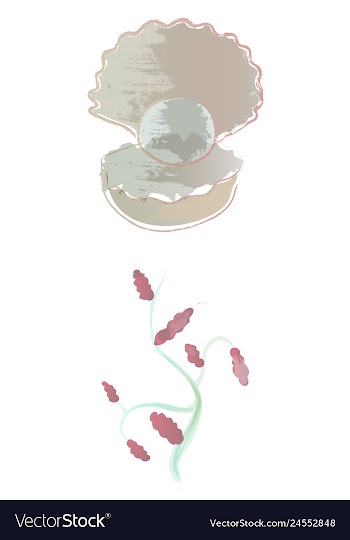 Set of watercolor seaweed corals and stones vector image